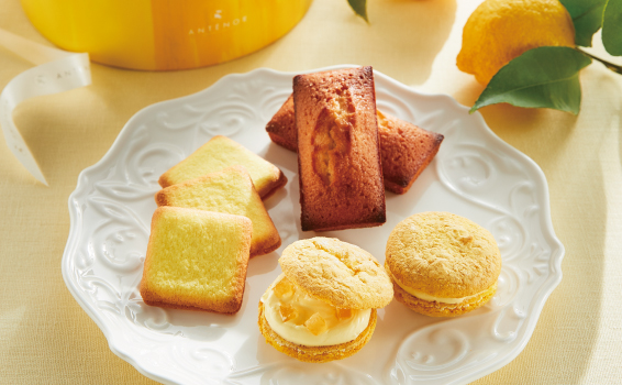 5月13日発売の爽やかなレモンの焼き菓子をご紹介します